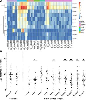 A species-specific lncRNA modulates the reproductive ability of the asian tiger mosquito